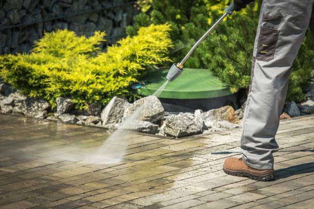Best Spring Cleaning  in Dillon, SC